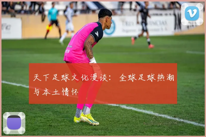 天下足球文化漫谈:全球足球热潮与本土情怀