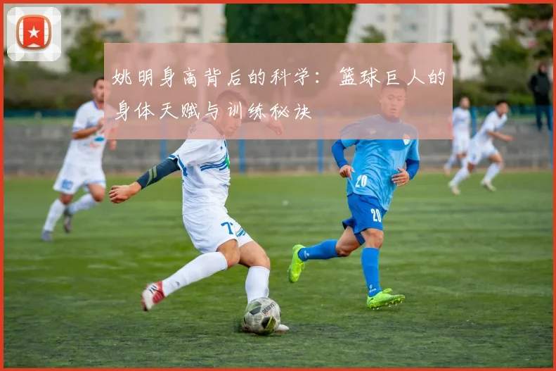 姚明身高背后的科学:篮球巨人的身体天赋与训练秘诀