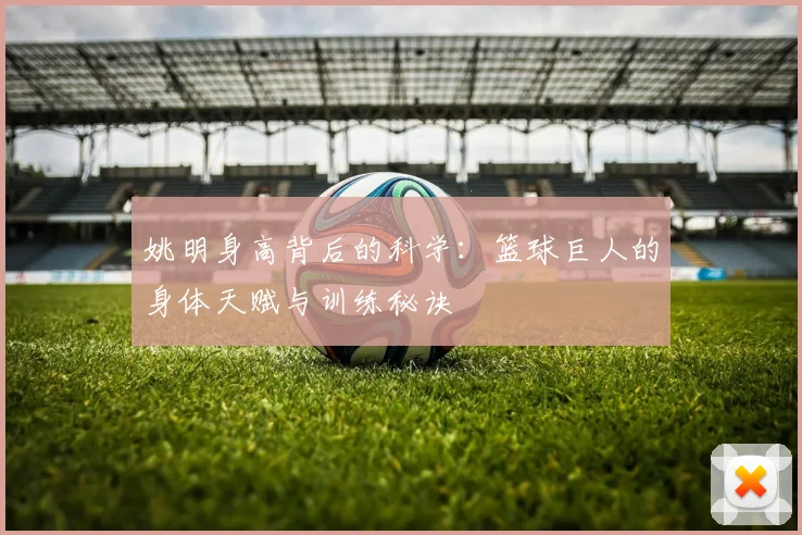 姚明身高背后的科学:篮球巨人的身体天赋与训练秘诀