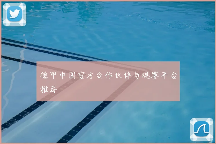 德甲中国官方合作伙伴与观赛平台推荐